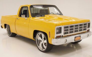 Chevrolet-C-10-Pickup-1980-8