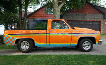 Chevrolet-C-10-Pickup-1981-8