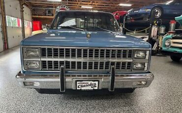 Chevrolet-C-10-Pickup-1982-19