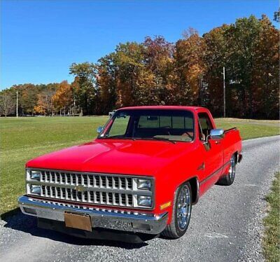 Chevrolet-C-10-Pickup-1982-2