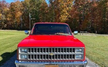 Chevrolet-C-10-Pickup-1982-3