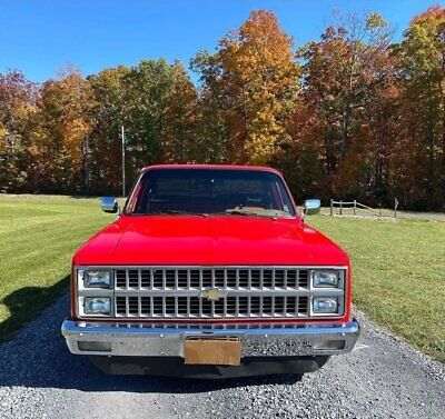 Chevrolet-C-10-Pickup-1982-3