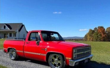 Chevrolet-C-10-Pickup-1982-5