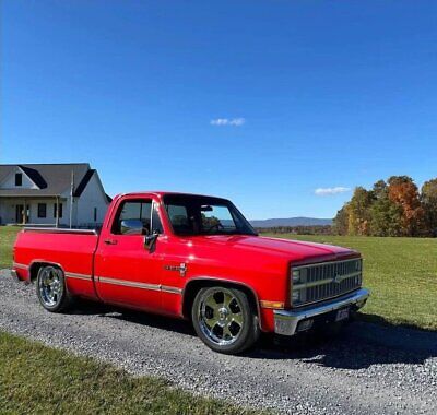 Chevrolet-C-10-Pickup-1982-5