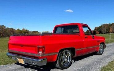 Chevrolet-C-10-Pickup-1982-6