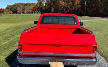 Chevrolet-C-10-Pickup-1982-7