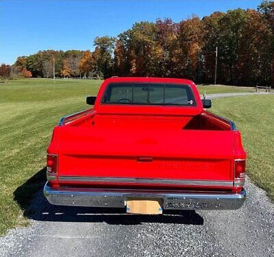 Chevrolet-C-10-Pickup-1982-7