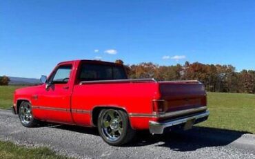 Chevrolet-C-10-Pickup-1982-8