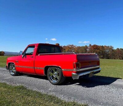 Chevrolet-C-10-Pickup-1982-8