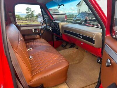 Chevrolet-C-10-Pickup-1982-9