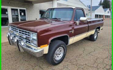 Chevrolet C-10 Pickup 1983