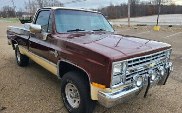 Chevrolet-C-10-Pickup-1983-2