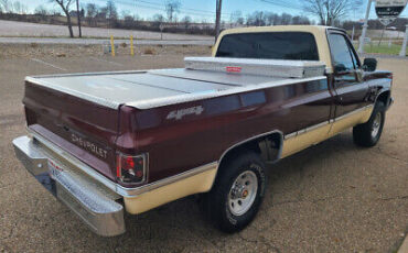 Chevrolet-C-10-Pickup-1983-3