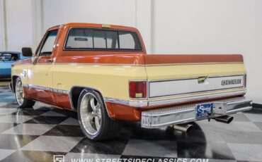 Chevrolet-C-10-Pickup-1983-8