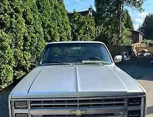 Chevrolet-C-10-Pickup-1984-2