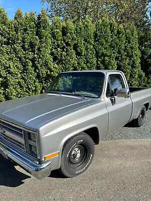 Chevrolet-C-10-Pickup-1984-3