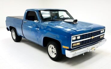 Chevrolet-C-10-Pickup-1984-6