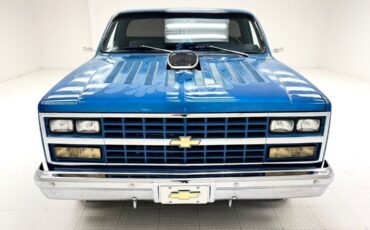 Chevrolet-C-10-Pickup-1984-7