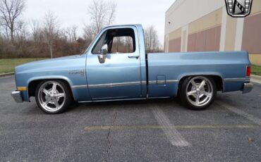 Chevrolet-C-10-Pickup-1985-3