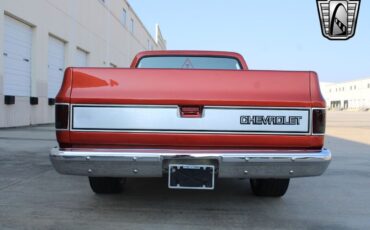 Chevrolet-C-10-Pickup-1985-4