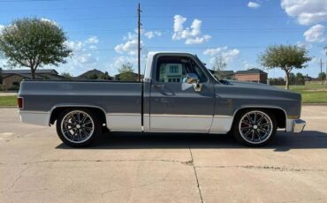 Chevrolet-C-10-Pickup-1985-5