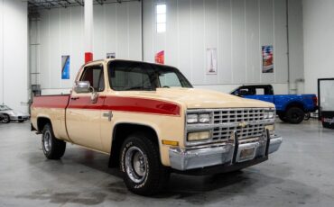 Chevrolet-C-10-Pickup-1985-6