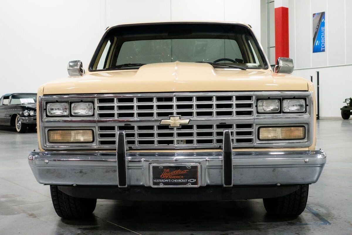 Chevrolet-C-10-Pickup-1985-7