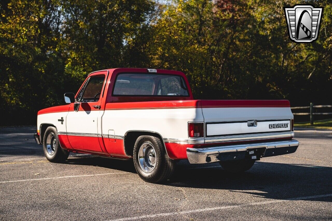 Chevrolet-C-10-Pickup-1986-4