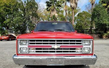 Chevrolet-C-10-Pickup-1987-2