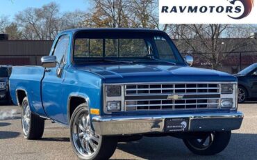 Chevrolet-C-10-pickup-1978-21