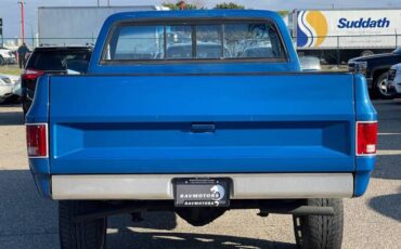 Chevrolet-C-10-pickup-1978-3