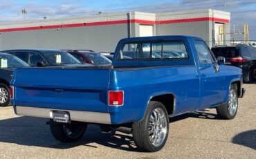 Chevrolet-C-10-pickup-1978-4