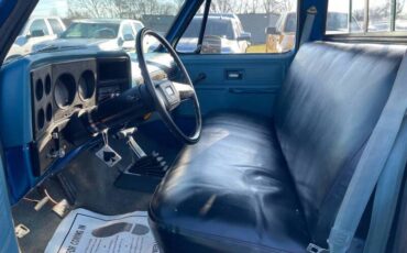 Chevrolet-C-10-pickup-1978-6