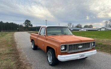 Chevrolet-C10-1973-2