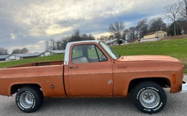 Chevrolet-C10-1973-3