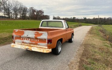 Chevrolet-C10-1973-4