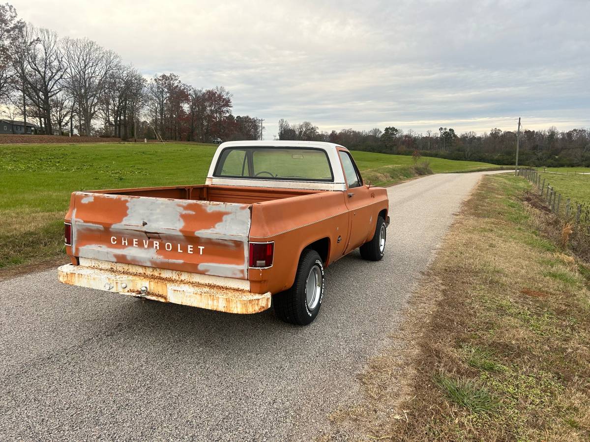 Chevrolet-C10-1973-4