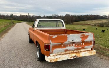 Chevrolet-C10-1973-5