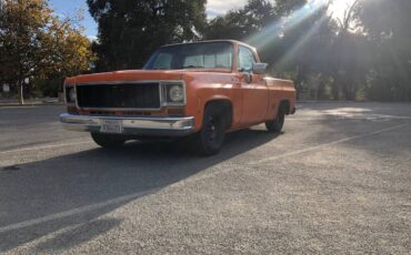 Chevrolet-C10-1974-13