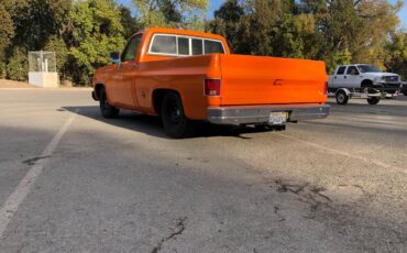 Chevrolet-C10-1974-16