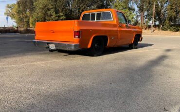 Chevrolet-C10-1974-21