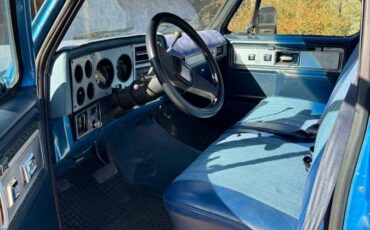 Chevrolet-C10-1979-1