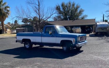 Chevrolet-C10-1979-11