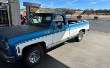 Chevrolet-C10-1979-12