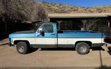 Chevrolet-C10-1979-13