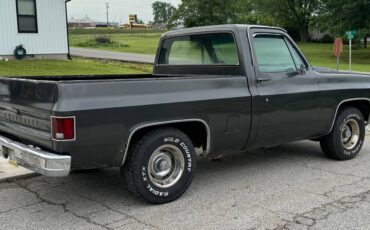 Chevrolet-C10-1979-5