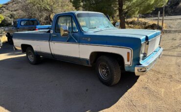 Chevrolet-C10-1979-6