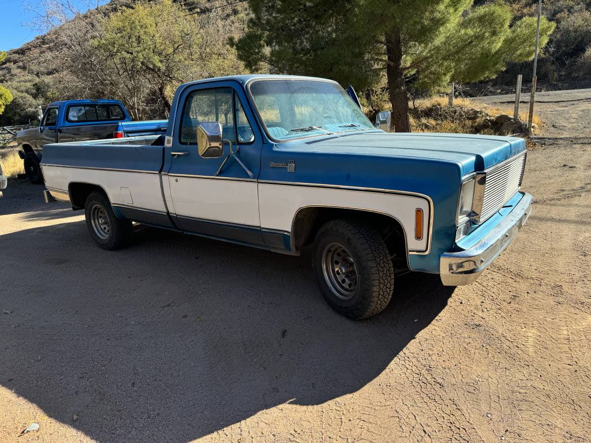 Chevrolet-C10-1979-6