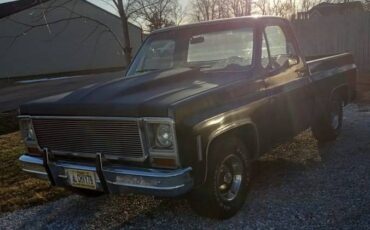 Chevrolet-C10-1979-8