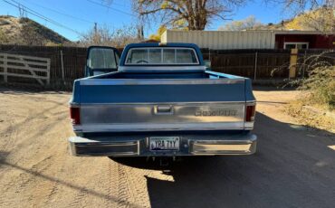 Chevrolet-C10-1979-9